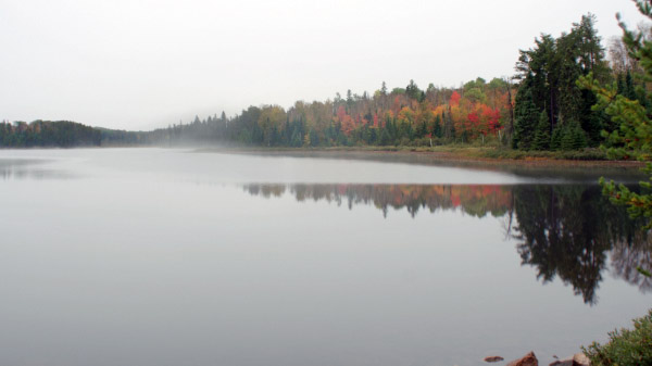 blended fall colors 25mm copy